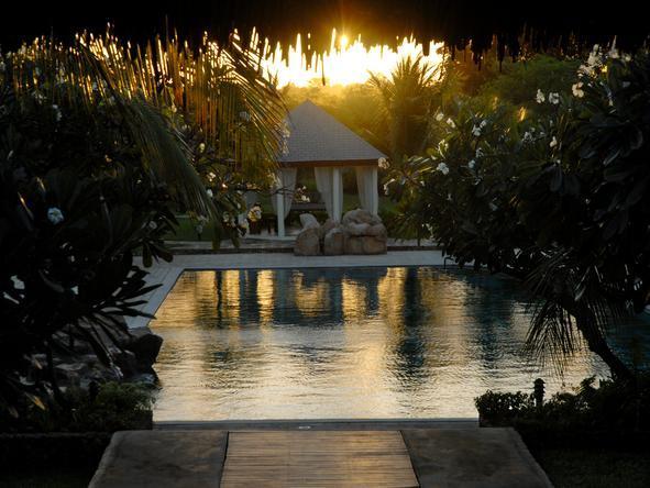 Lion in the Sun Retreat - Pool 2